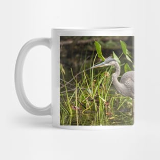 Great Blue Heron - Mud Lake, Ottawa, Canada Mug